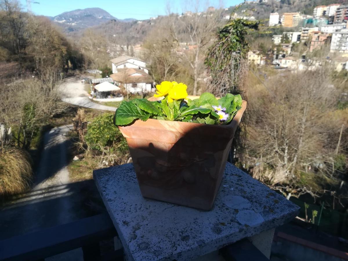 Apartment Il Casale Di Pino E Rita