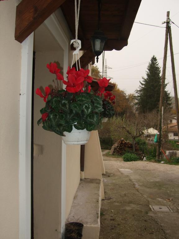 Il Casale Di Pino E Rita Apartment